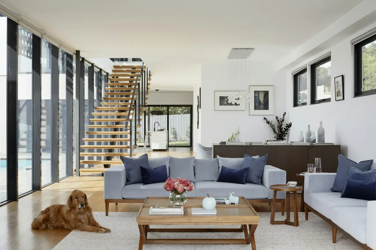 A family living room with a dog relaxing on the rug